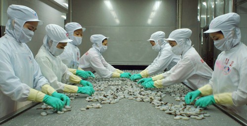 Quy trình thẩm định lô hàng thủy sản xuất khẩu theo Thông tư 48/2013/TT-BNNPTNT