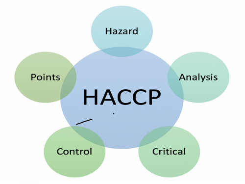 Tập huấn HACCP cơ bản