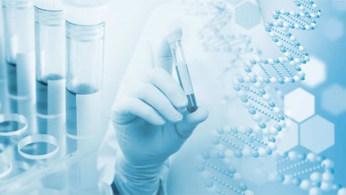 Tập huấn lĩnh vực kiểm nghiệm Sinh học